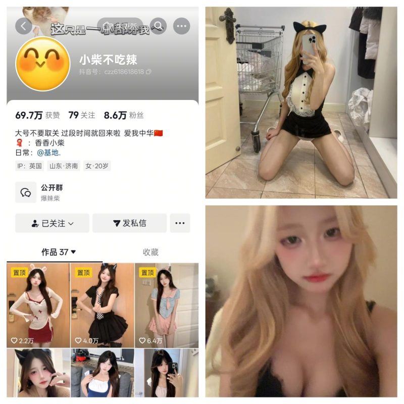 小柴不吃辣  秘语空间/幻宇星球合集【幻宇动态】-幻宇星球网页版