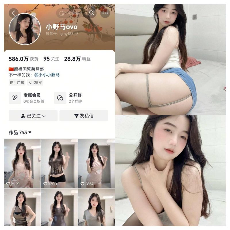 小野马ovo 合集【电鸽高清素材】-幻宇星球网页版
