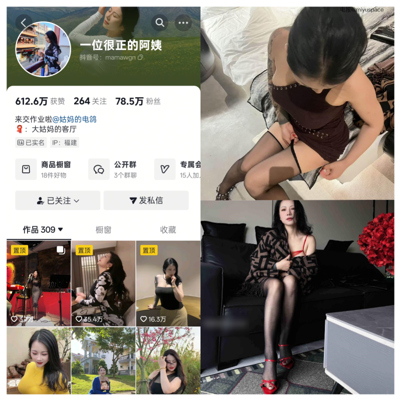 一位很正的阿姨/大姑妈合集【电鸽甜系主播写真】-幻宇星球网页版