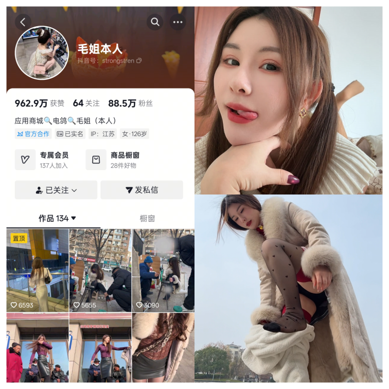 毛姐本人合集【电鸽清冷系合集】-幻宇星球网页版