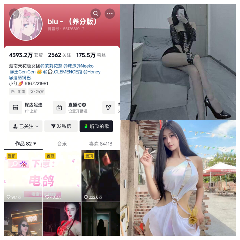 Biu合集【电鸽定制】-幻宇星球网页版