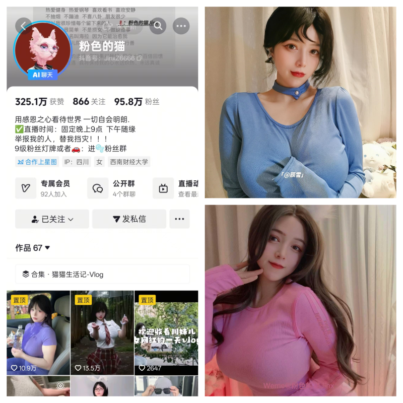 粉色的猫秘语空间/幻宇星球合集【星球多造型主播素材】-幻宇星球网页版