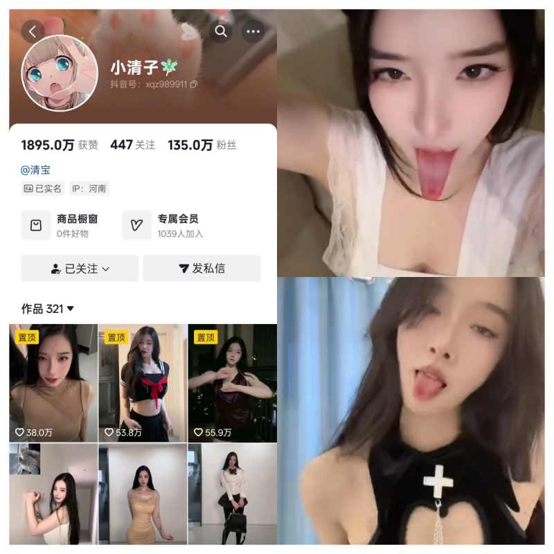 小清子合集【电鸽动态多风格合集】-幻宇星球网页版