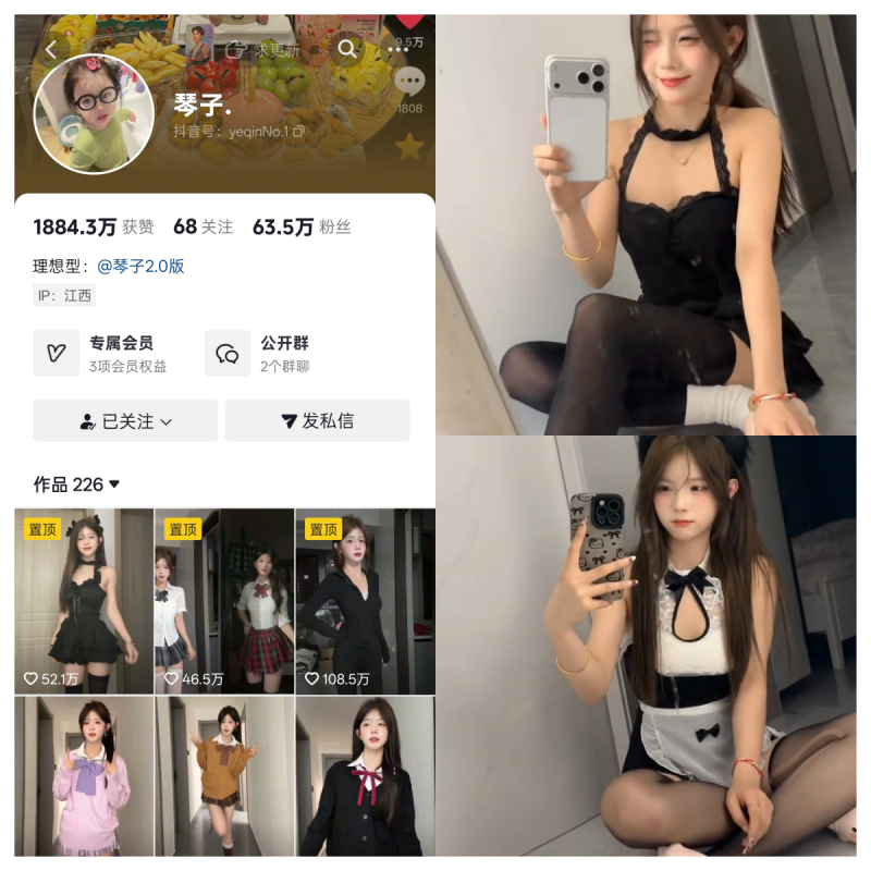 琴子 合集【电鸽多风格动态合集】-幻宇星球网页版