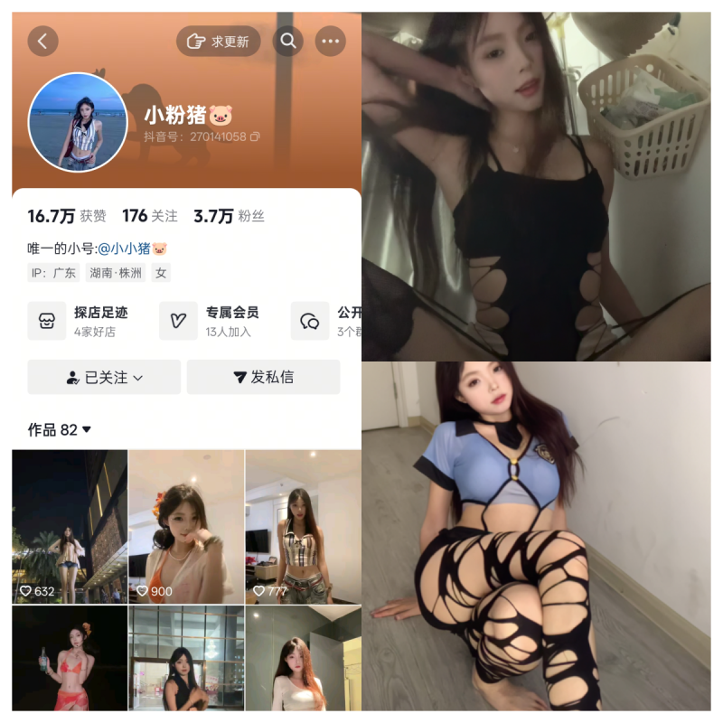 抖音小粉猪私人定制【主播私人专属定制】-幻宇星球网页版