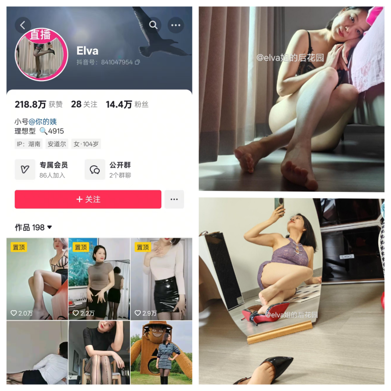 elva姐的后花园合集【幻宇星球合集】-幻宇星球网页版