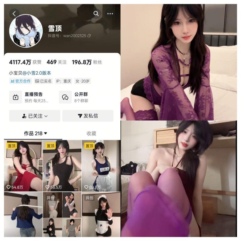 雪顶 合集【电鸽多造型专属素材】-幻宇星球网页版