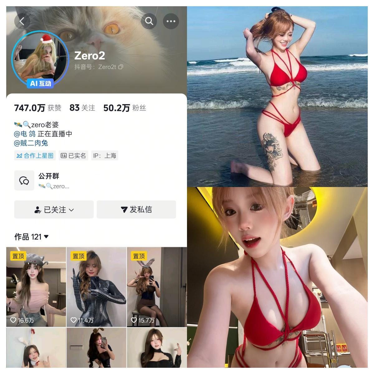 图片[1]-Zero2合集【电鸽多风格动态合集】-幻宇星球网页版