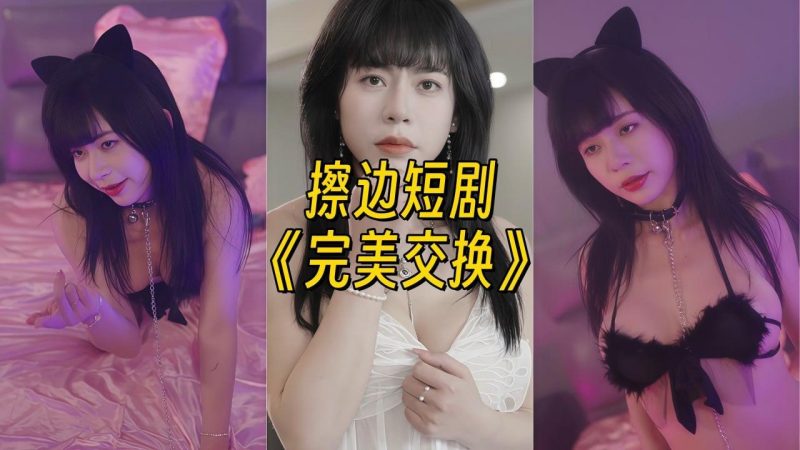 完美交换【星球私人专属素材】-幻宇星球网页版